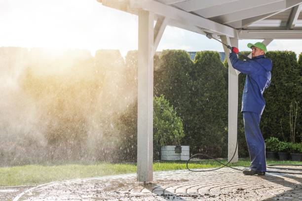 Animal Enclosure Cleaning in Anna, OH